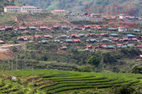 Chuyện về cuộc hồi sinh những tộc người 