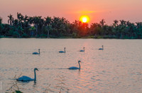 Ngắm những bức ảnh cực đẹp tại Triển lãm 