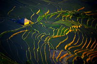 Ngắm những bức ảnh cực đẹp tại Triển lãm 