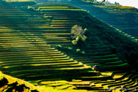 Ngắm những bức ảnh cực đẹp tại Triển lãm 