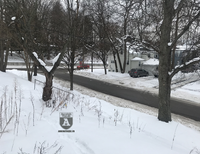 Du học sinh Việt Nam chụp cảnh nước Mỹ lạnh lẽo kỷ lục trong vòng 100 năm qua