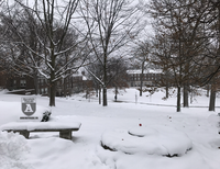 Du học sinh Việt Nam chụp cảnh nước Mỹ lạnh lẽo kỷ lục trong vòng 100 năm qua