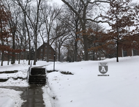 Du học sinh Việt Nam chụp cảnh nước Mỹ lạnh lẽo kỷ lục trong vòng 100 năm qua