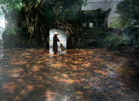 Ngắm những bức ảnh cực đẹp tại Triển lãm 