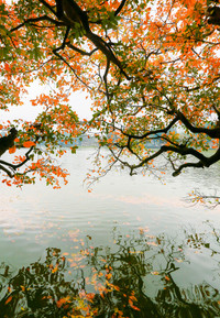 Ngắm những bức ảnh cực đẹp tại Triển lãm 