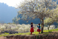 Ngắm những bức ảnh cực đẹp tại Triển lãm 