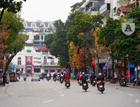 Phố Hà Nội đẹp ngỡ ngàng mùa cây trút lá