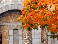 Phố Hà Nội đẹp ngỡ ngàng mùa cây trút lá