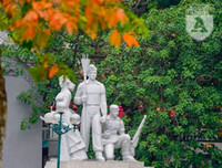 Phố Hà Nội đẹp ngỡ ngàng mùa cây trút lá