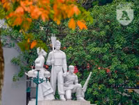 Phố Hà Nội đẹp ngỡ ngàng mùa cây trút lá