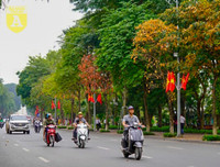 Phố Hà Nội đẹp ngỡ ngàng mùa cây trút lá