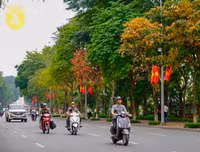 Phố Hà Nội đẹp ngỡ ngàng mùa cây trút lá