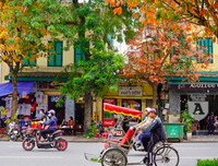 Phố Hà Nội đẹp ngỡ ngàng mùa cây trút lá