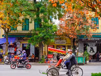 Phố Hà Nội đẹp ngỡ ngàng mùa cây trút lá