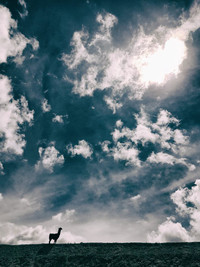 Thử thách băng qua 'cung đường tử thần' của Đăng Khoa