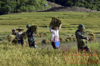 Chuyện về cuộc hồi sinh những tộc người 