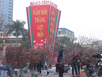 Phố phường Hà Nội ngập tràn không khí Tết