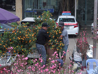 Phố phường Hà Nội ngập tràn không khí Tết