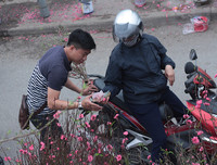 Phố phường Hà Nội ngập tràn không khí Tết