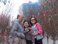 Phố phường Hà Nội ngập tràn không khí Tết