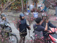 Phố phường Hà Nội ngập tràn không khí Tết