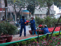 Phố phường Hà Nội ngập tràn không khí Tết