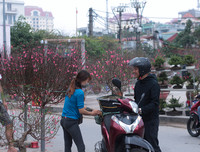 Phố phường Hà Nội ngập tràn không khí Tết