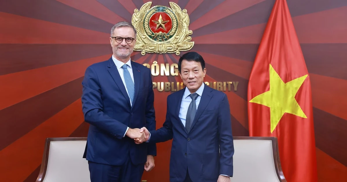 Bài viết