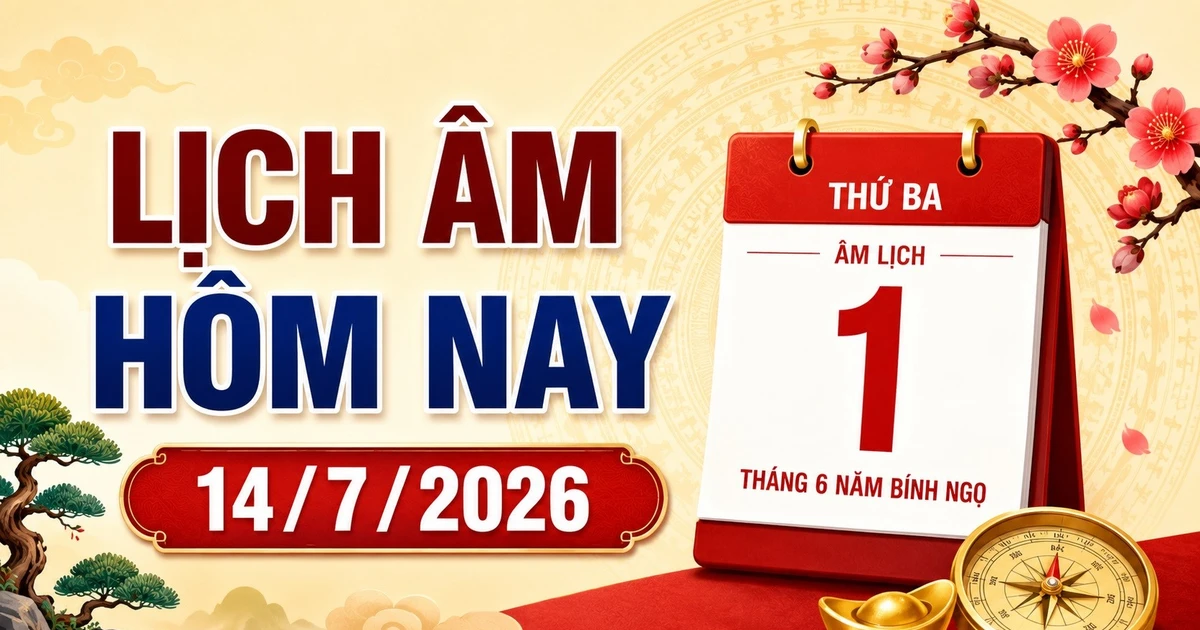 Bài viết