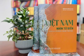 Chiêm ngưỡng Việt Nam từ biển: Một góc nhìn đầy cuốn hút