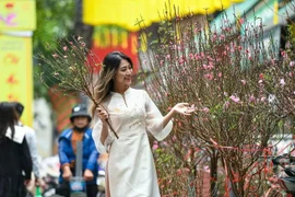 Chợ hoa Hàng Lược 2026 thu hút hơn 30.000 lượt khách 