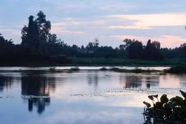 Trưng bày "Chúng tôi, những dòng sông Nam Bộ" mở ra không gian đối thoại giữa con người và các dòng sông