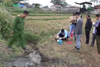 Xử phạt hơn 400 triệu đồng cơ sở sơ chế cà phê tại Sơn La