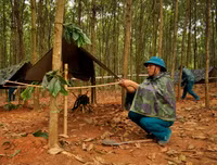 Bộ đội Hà Nội thi bắn súng trường, gói thuốc nổ, võ chiến đấu