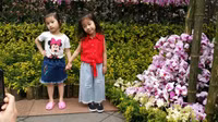 [Ảnh] Người dân Hà Nội chen chân chụp ảnh bên hoa anh đào Nhật Bản