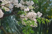 Những hình ảnh 