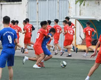 [ẢNH] CĐV Lê Văn Thiêm máu lửa phủ xanh khán đài sân Tây Hồ