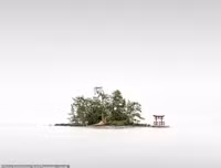 [ẢNH] Các bức ảnh ấn tượng của giải thưởng nhiếp ảnh Sony Photography Awards 2020