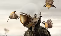 [Ảnh] Ấn tượng các bức ảnh đoạt giải Sony World Photography Awards 2019