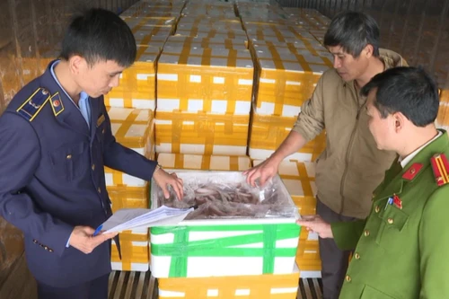 10 tấn cá khoai Trung Quốc tẩm formol cực độc từ Bắc vào Nam và lên... bàn ăn