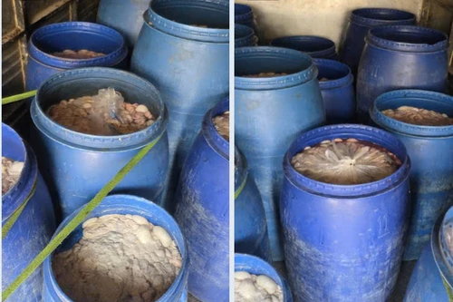 Phát hiện xe ô tô chở hơn 630kg nội tạng lợn có dấu hiệu hư hỏng