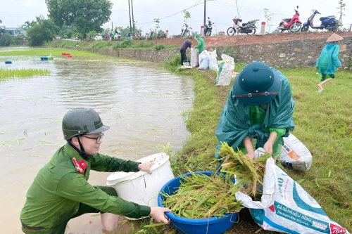 "Thủ lĩnh" Đoàn với những dấu ấn cống hiến, góp sức vì Thủ đô bình yên