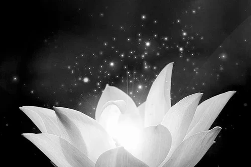 Tin buồn: Cụ Trần Văn Lương từ trần