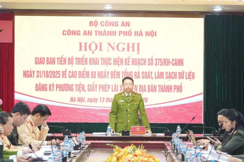 Tập trung cao điểm, tăng tốc làm sạch dữ liệu đăng ký phương tiện, giấy phép lái xe