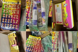 Phát hiện 9,5kg pháo tại cửa hàng kinh doanh Minh Thi