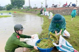 "Thủ lĩnh" Đoàn với những dấu ấn cống hiến, góp sức vì Thủ đô bình yên