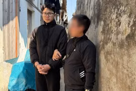 Bắt giữ đối tượng gây ra hàng loạt vụ cướp giật tài sản