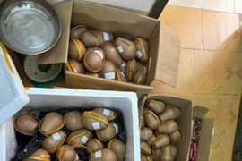 Nam thanh niên biến phòng ngủ thành "nhà máy" sản xuất pháo