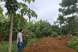 Xử lý các hành vi vi phạm về khai thác khoáng sản và đổ chất thải trái quy định