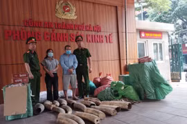Triệt phá đường dây buôn lậu ngà voi, thuốc lá